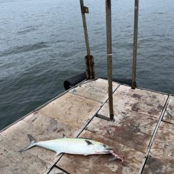 無限サゴシ再び…