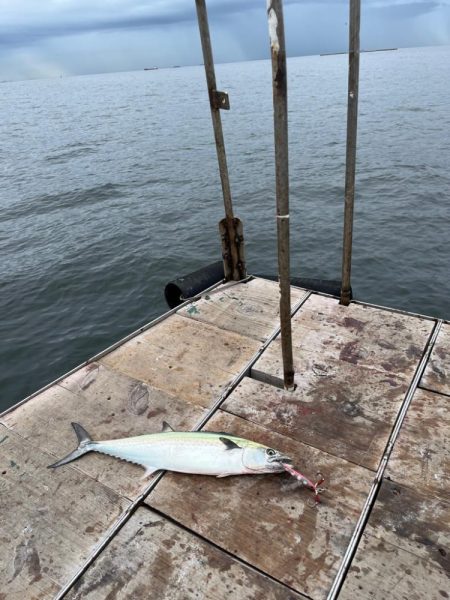 無限サゴシ再び…