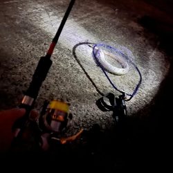 納竿直前の大物！