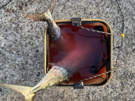 バラシばかりで…