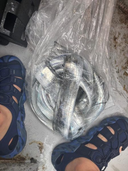 神戸沖のタチウオテンヤ