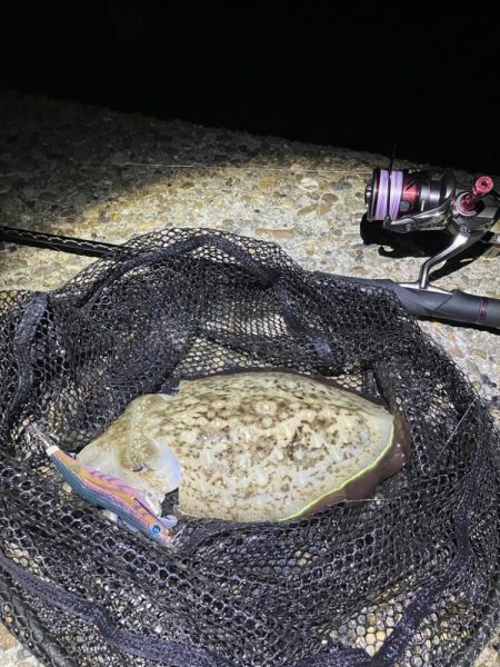 秋🦑　潮が大事！😊