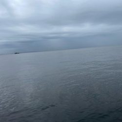 サゴシ祭り参加