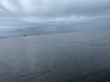 サゴシ祭り参加