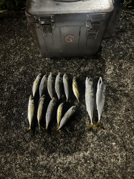 そろそろアジング