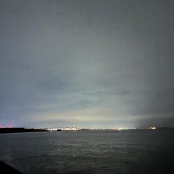 【悲報】サゴシ祭り終了のお知ら