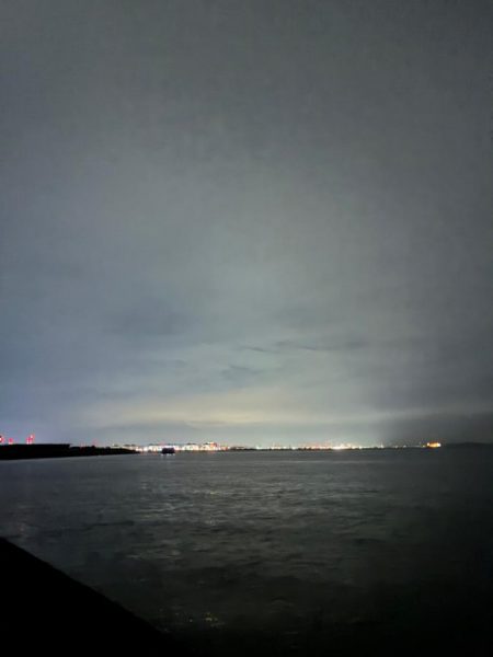 【悲報】サゴシ祭り終了のお知ら