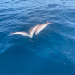 カヤックフィッシング