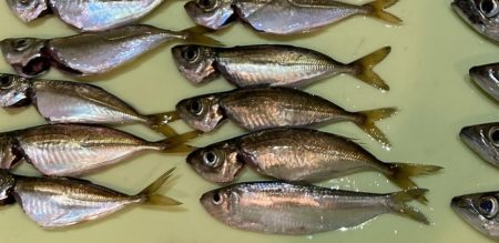 サバゲーでプラクティス