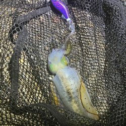 秋🦑何とか5杯(^.^)