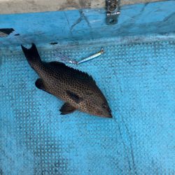 ダイソーインチク