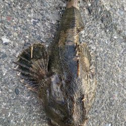 寒いけど楽しい釣行