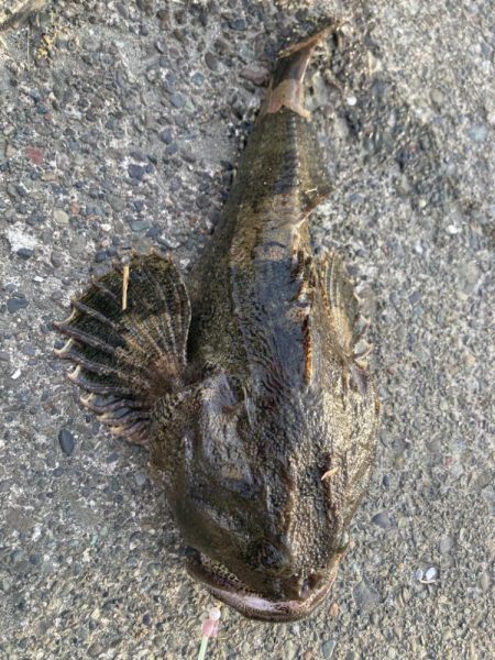 寒いけど楽しい釣行