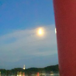 今年最終に大漁節♪