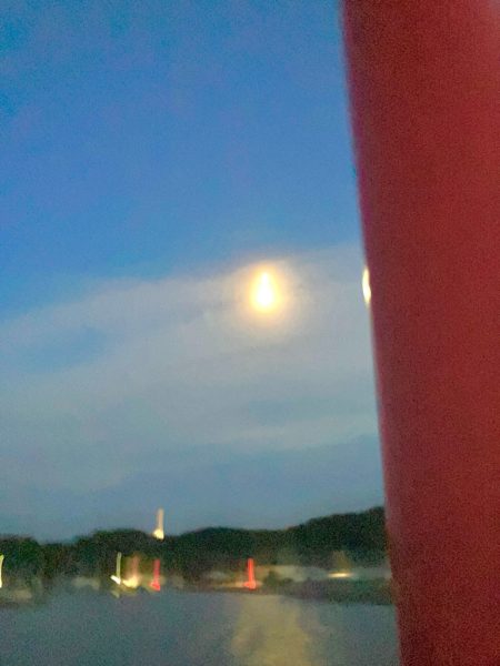 今年最終に大漁節♪