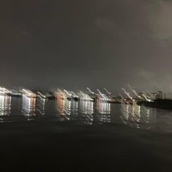 3連勝中！秋シーバス開催中