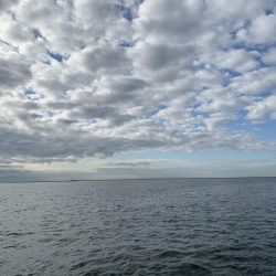 朝マヅメサゴシ