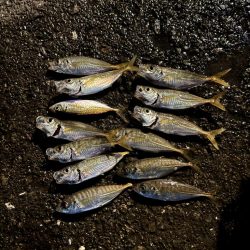 ちょい投げどアジング