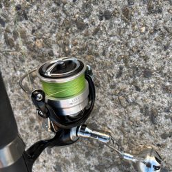 ジグサビキ　39