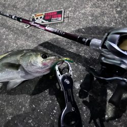 信じた潮回りがあれば…なんとかなる!