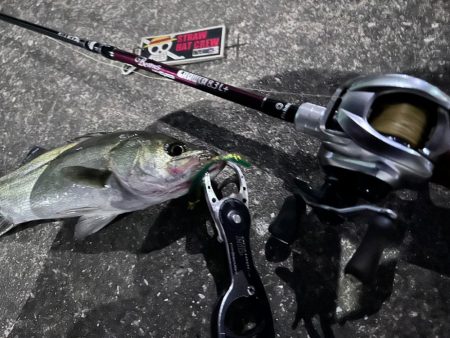 信じた潮回りがあれば…なんとかなる！