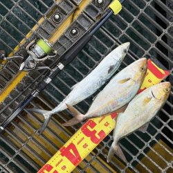 シオ、よく引きました