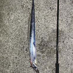 テンヤ改&エギング