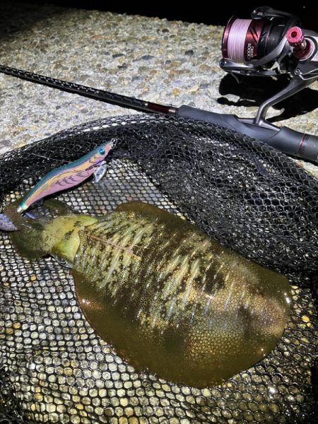 秋🦑 中々サイズが伸びない😅