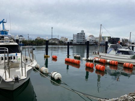 初アマラバで出会えました！