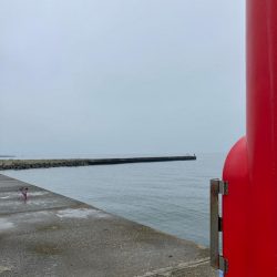 ついでに舌平目getの大漁で大歓喜