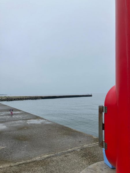 ついでに舌平目getの大漁で大歓喜