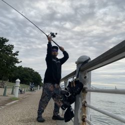 大阪湾奥ショアジギ