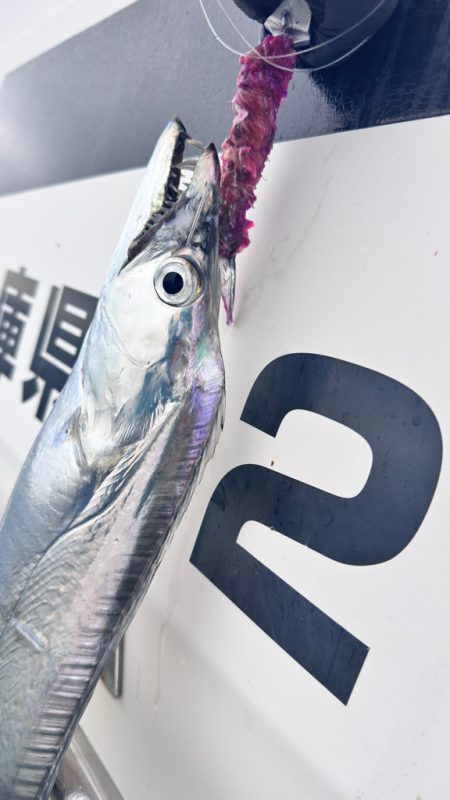 タチウオ/タチウオテンヤ