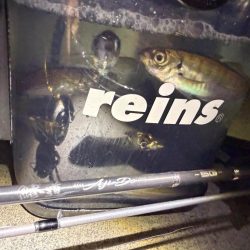 鯵道5Ｇ鱗付け！