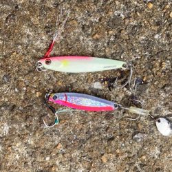 まだ祭り継続で多種の参加