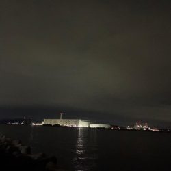 青物は何処に？