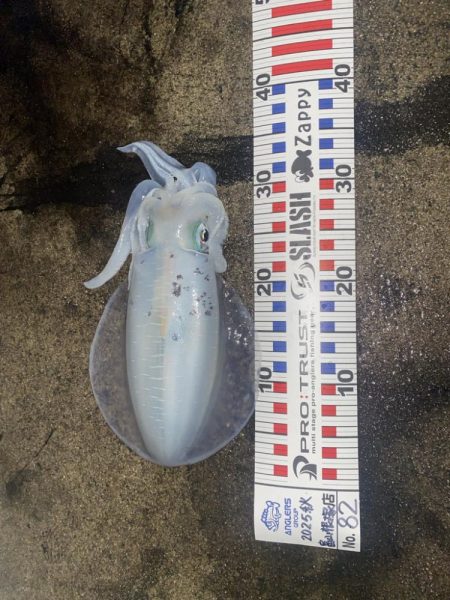 アオリがやっとツー抜き