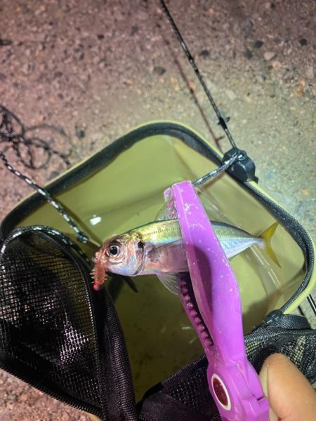 ドリフト豆アジング