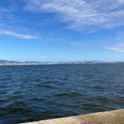 サゴシ祭り参加も貧打