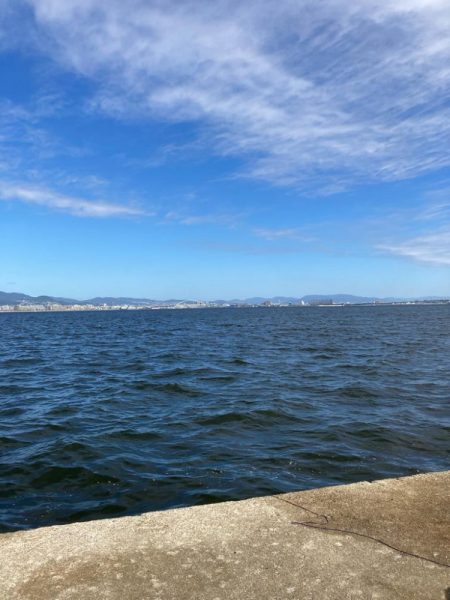 サゴシ祭り参加も貧打