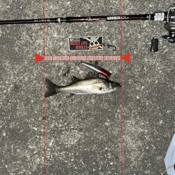 納得いかん…どゆこと？