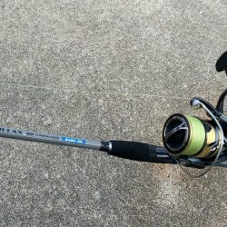 シロギスタ:カワハギスタ