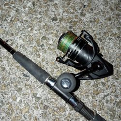 シーズン終盤…　渋かったです