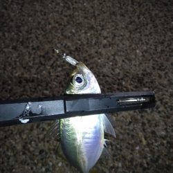 今日は調子悪いねぇ