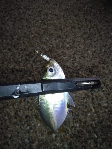 今日は調子悪いねぇ