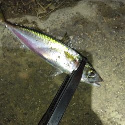 不調の原因がわかった！