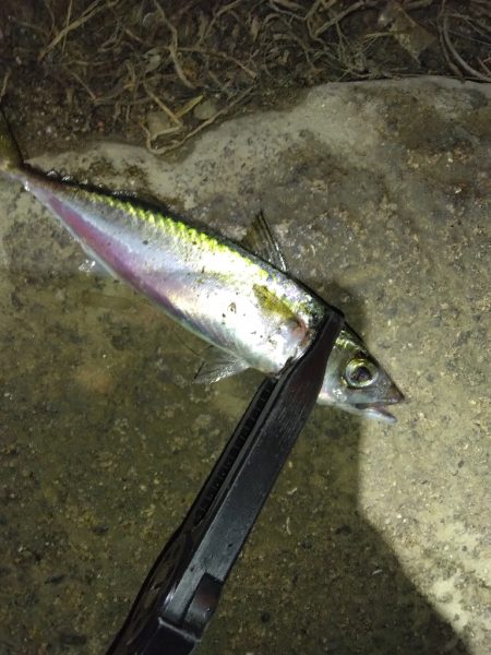 不調の原因がわかった！