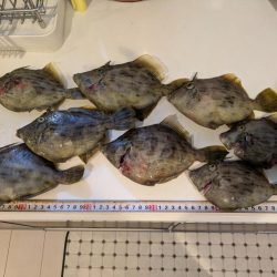 カワハギ【羽田えさ政より】