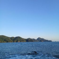 第四回2025秋エギング調査