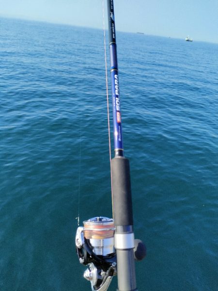 今シーズン3回目の沖堤防